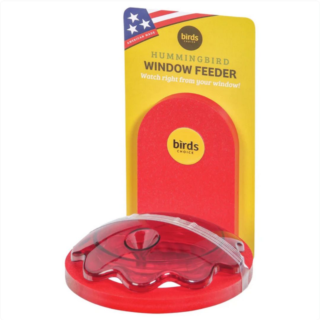 Window Mount Hummingbird Feeder – Birds Choice